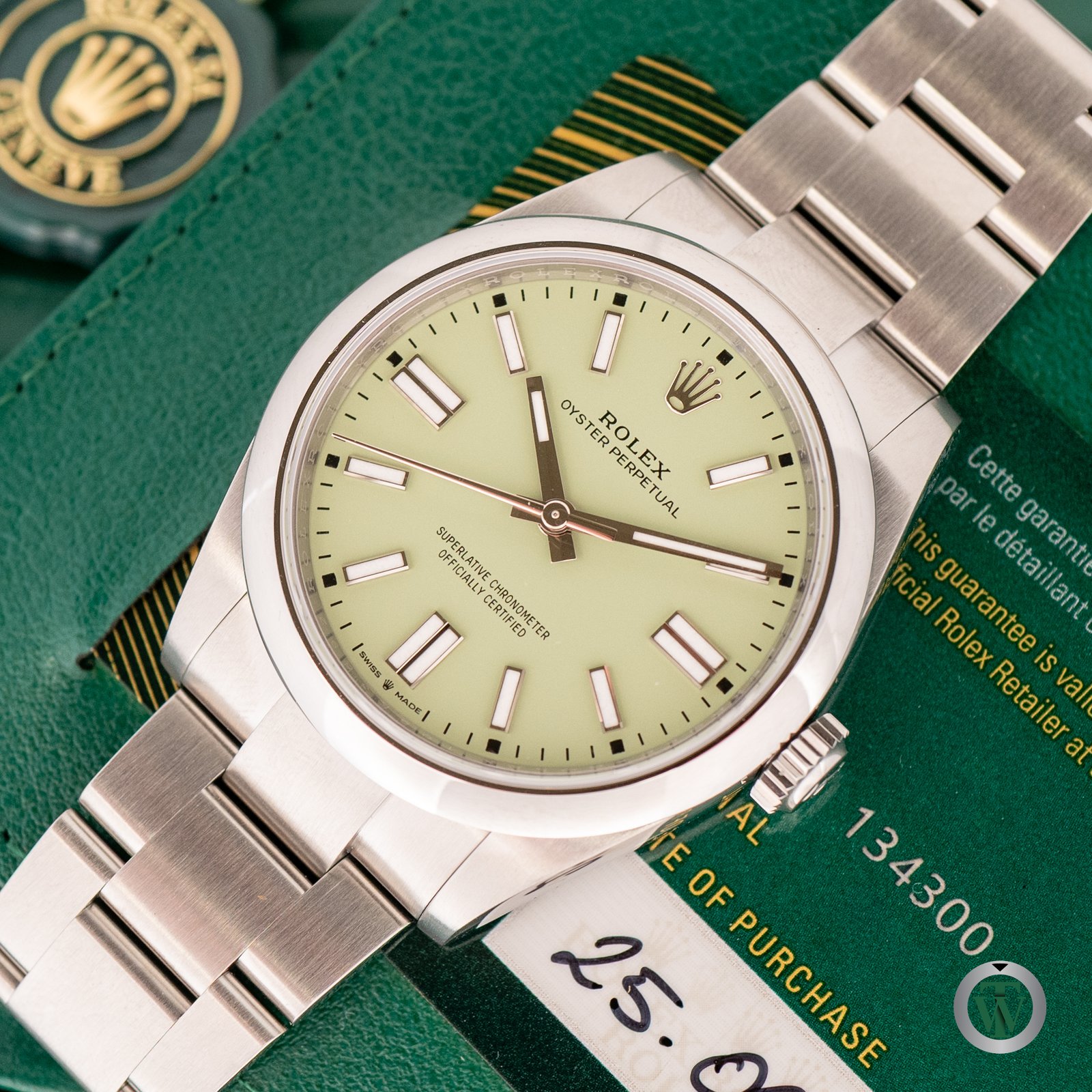 Rolex Oyster Perpetual 41 Pistachio Dial 134300 Never Worn 2025